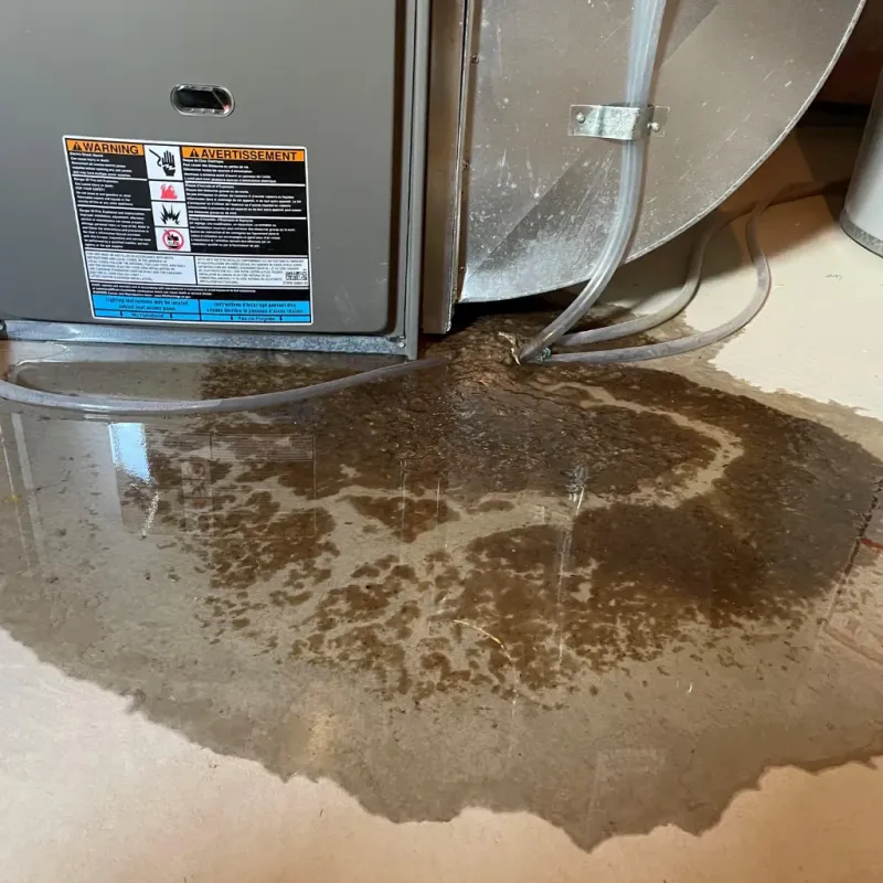 Appliance Leak Cleanup in Hanover, IN